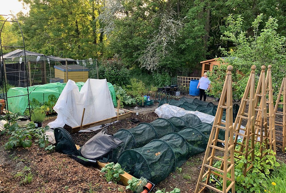 Spring Bulb Planting Workshop